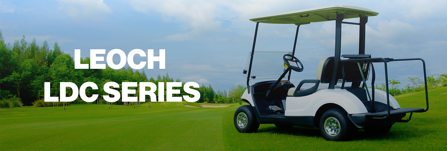 Leoch LDC Series - High Cycle AGM Deep Cycle Batteries