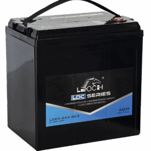 Leoch Group GC2H 6V 268AH AGM Golf Cart Battery