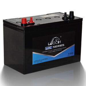 Black car battery with red positive and black negative terminals visible on top; Leoch LDC Series label on the side indicating 12V 118Ah capacity.